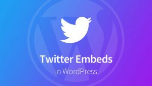 Embed-Twitter-Feed-On-Your-Website